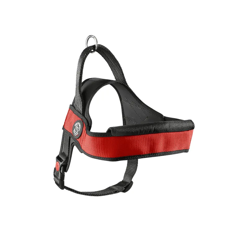 TRE PONTI Pettorina Primo Plus Onyx con Anello Scorrevole Rosso Mis.XL TRE PONTI Pettorina Primo Plus Onyx con Anello Scorrevole Rosso Mis.XL